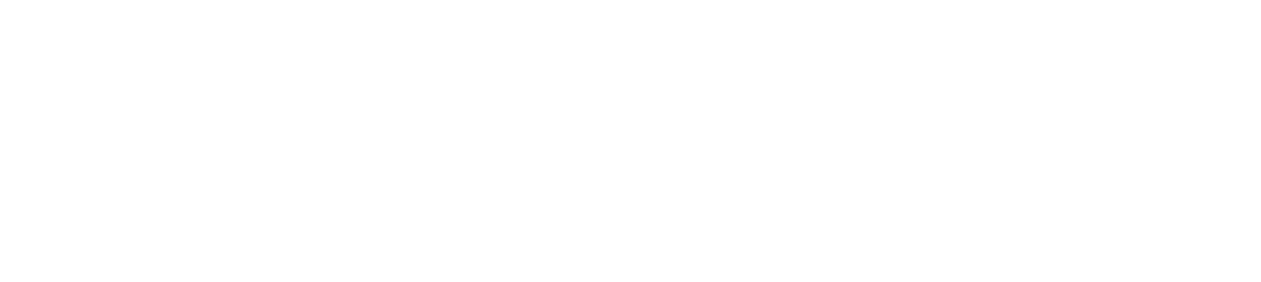logo light